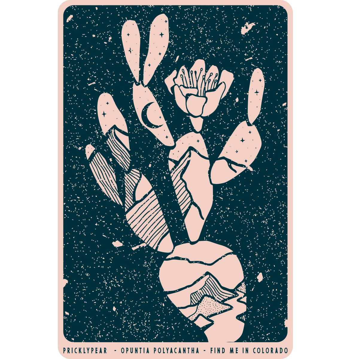 Colorado Cactus Sticker