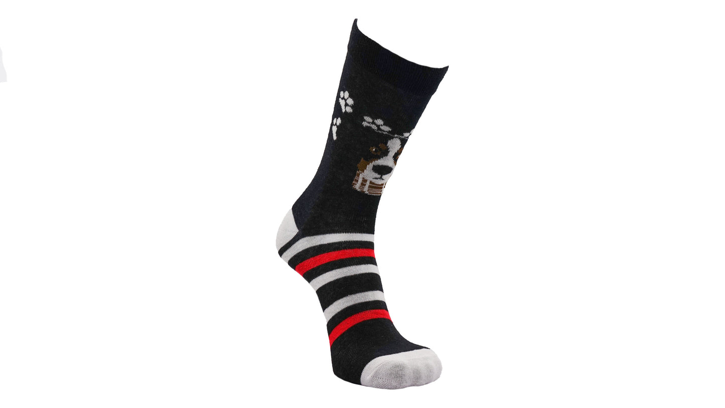 Bernese Mountain Dog Paws Socks