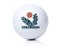 Colorado Cactus Novelty Golf Ball