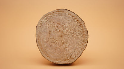 Colorado Bear Wood Coaster