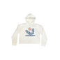 Colorado Succulent Crop Hoodie