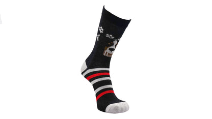 Bernese Mountain Dog Paws Socks