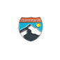 I Survived i70 Pin