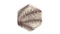 Colorado Pine Tree Wood Ornament