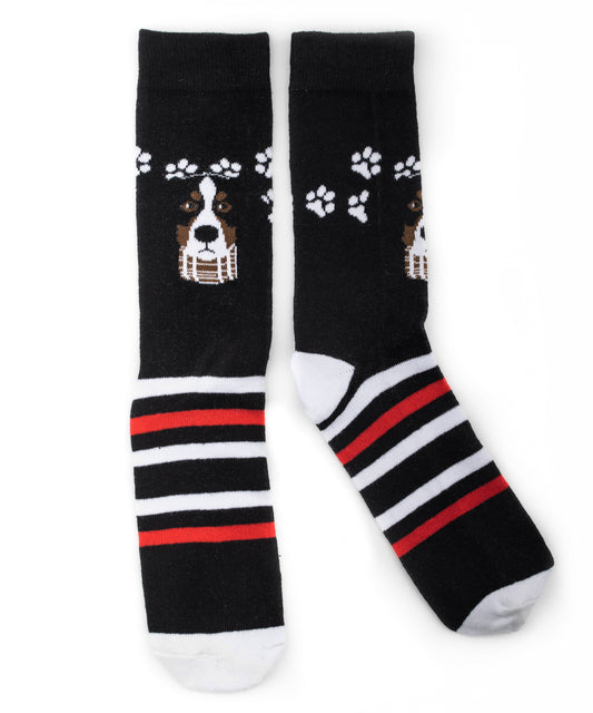Bernese Mountain Dog Paws Socks