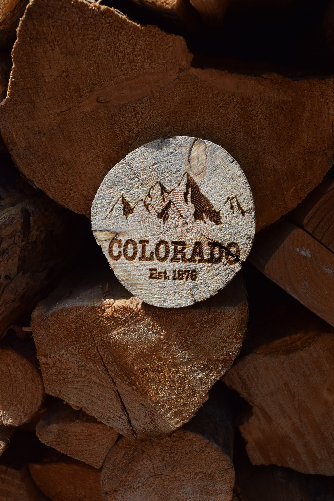 Colorado Mountain Wood Coaster